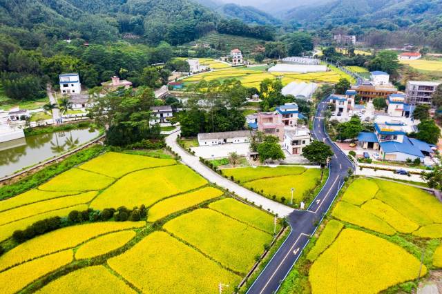 博罗县柏塘镇小洞村通过引进优质农文旅项目，推动村集体经济收入实现新跃升。